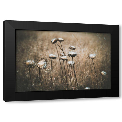 Weedy Black Modern Wood Framed Art Print by Mossholder, Tim