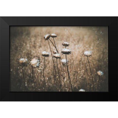 Weedy Black Modern Wood Framed Art Print by Mossholder, Tim