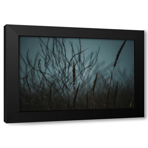 Dark Nature Black Modern Wood Framed Art Print by Mossholder, Tim