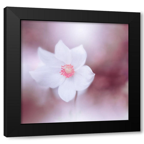 Eyes Wide Open.. Black Modern Wood Framed Art Print by Nan, Juliana