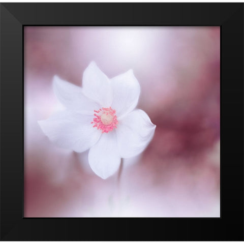 Eyes Wide Open.. Black Modern Wood Framed Art Print by Nan, Juliana