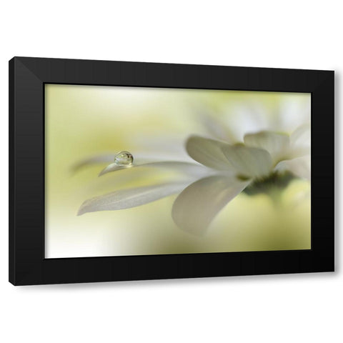 Dreams Of Heaven.. Black Modern Wood Framed Art Print with Double Matting by Nan, Juliana