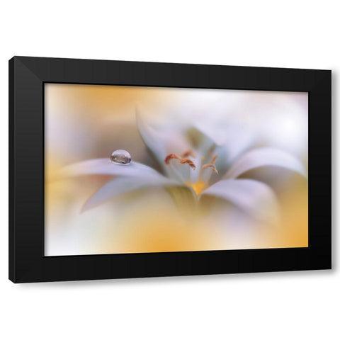 Miracle of Life.. Black Modern Wood Framed Art Print with Double Matting by Nan, Juliana