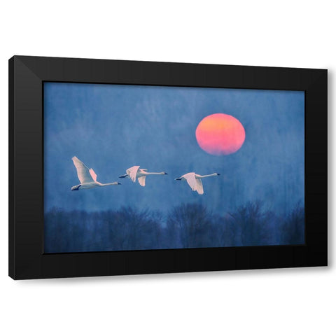 Foggy Sunrise Black Modern Wood Framed Art Print with Double Matting by Li, Rob