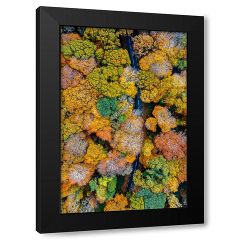 Autumn firework Black Modern Wood Framed Art Print with Double Matting by Jubic, Srecko