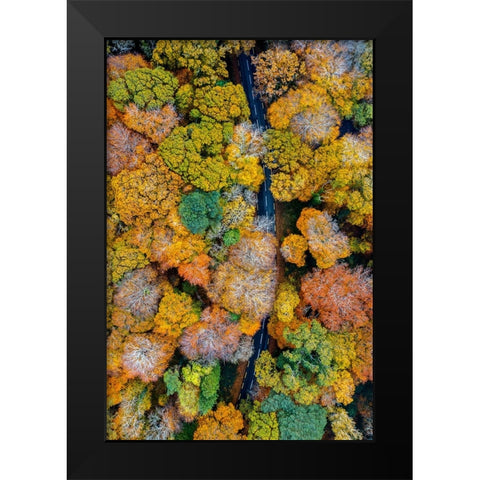 Autumn firework Black Modern Wood Framed Art Print by Jubic, Srecko