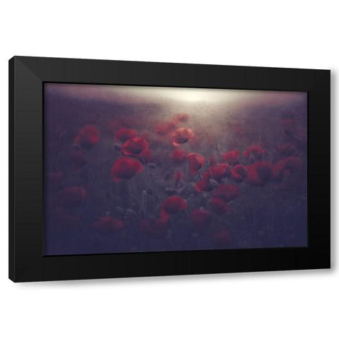 Flowers for Womens Day Black Modern Wood Framed Art Print with Double Matting by Kazamil, Farid