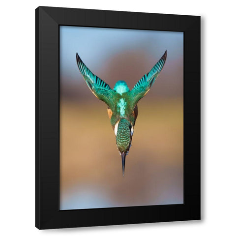 Aerodynamics II Black Modern Wood Framed Art Print by Sabol, Petar