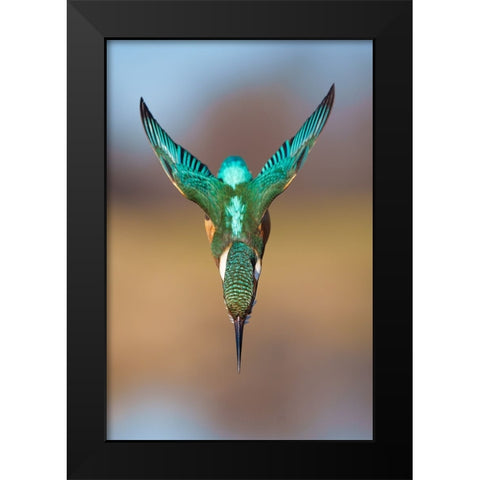 Aerodynamics II Black Modern Wood Framed Art Print by Sabol, Petar
