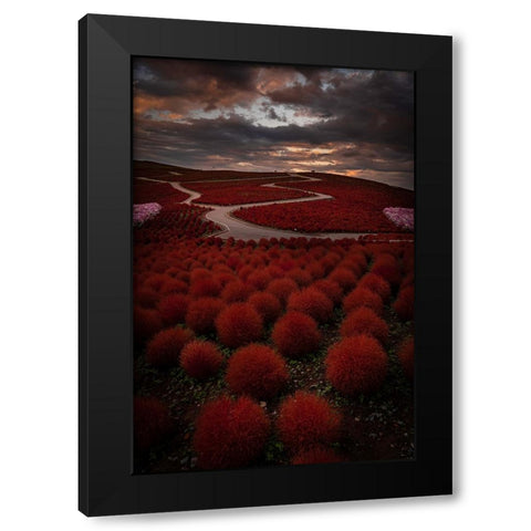 Kochia Road Black Modern Wood Framed Art Print with Double Matting by Gmehlin, Samuel