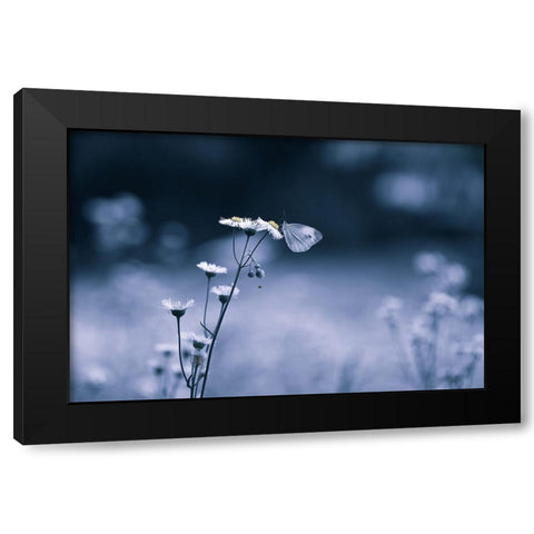 Small Butterfly Black Modern Wood Framed Art Print by Deng, Ivy