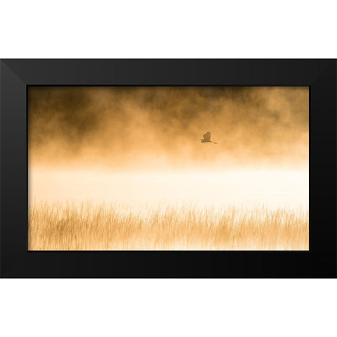 Morning Flight Black Modern Wood Framed Art Print by Li, Alex