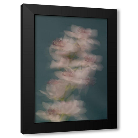 Slow motion Black Modern Wood Framed Art Print by Basso, Donatella