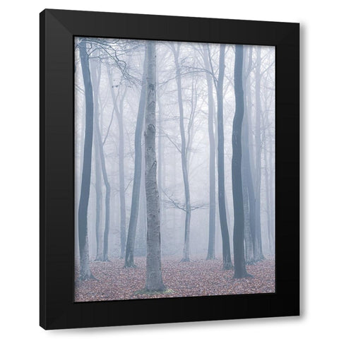 trees in fog Black Modern Wood Framed Art Print by Mies, Maurice