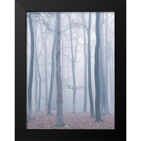 trees in fog Black Modern Wood Framed Art Print by Mies, Maurice