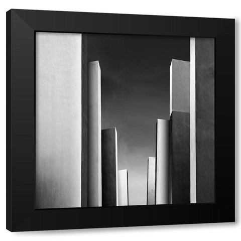 Il Giardino Incantato Ii Black Modern Wood Framed Art Print with Double Matting by Di Sebastiano, Pietrino