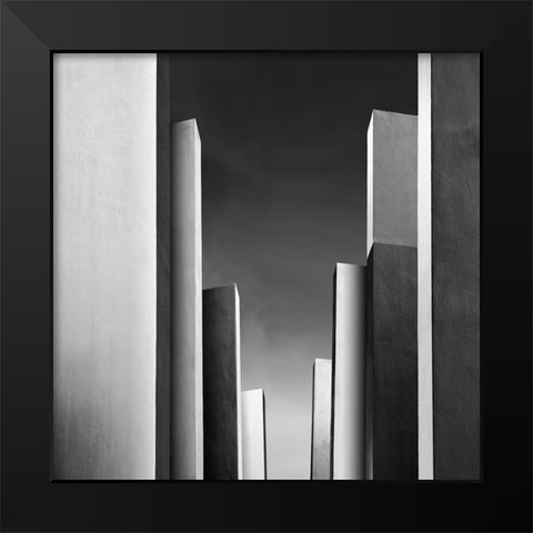 Il Giardino Incantato Ii Black Modern Wood Framed Art Print by Di Sebastiano, Pietrino