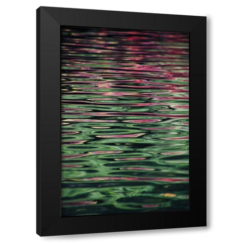 Flower reflection Black Modern Wood Framed Art Print by Alcantara, Miguel