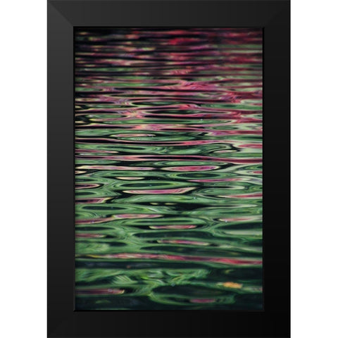 Flower reflection Black Modern Wood Framed Art Print by Alcantara, Miguel