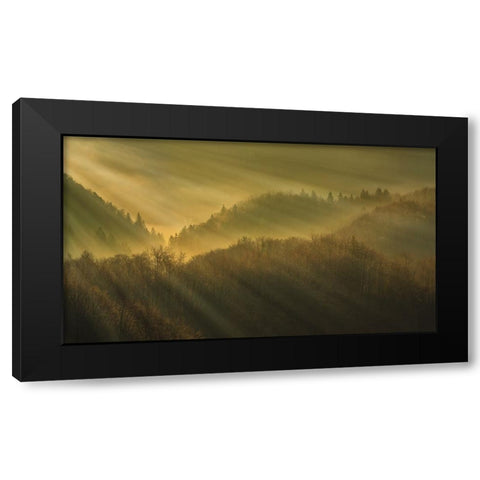 Rays of morning Black Modern Wood Framed Art Print with Double Matting by Bor