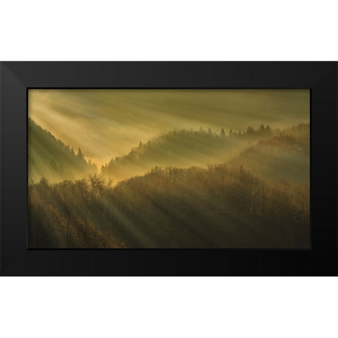 Rays of morning Black Modern Wood Framed Art Print by Bor