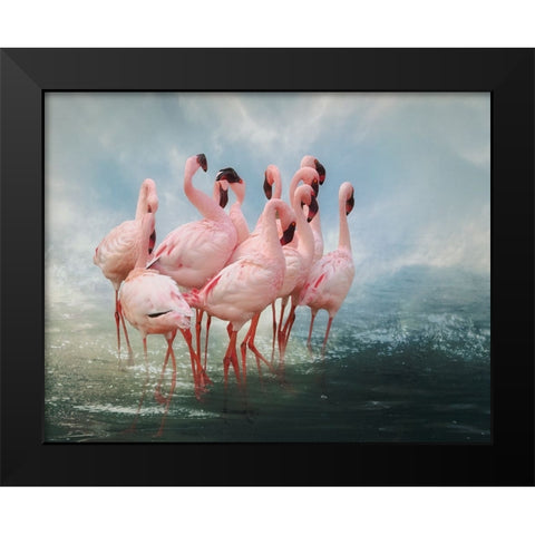 Lesser Flamingo Summit Black Modern Wood Framed Art Print by Wisniowska, Krystina