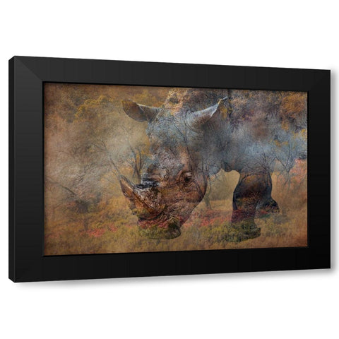 Rino Black Modern Wood Framed Art Print with Double Matting by Martins, Vitor