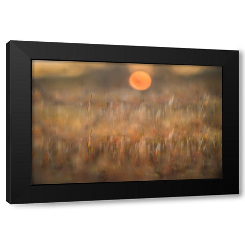 sunrise among the rough hair moss Black Modern Wood Framed Art Print with Double Matting by Bouhuijzen, Ina
