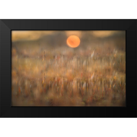 sunrise among the rough hair moss Black Modern Wood Framed Art Print by Bouhuijzen, Ina