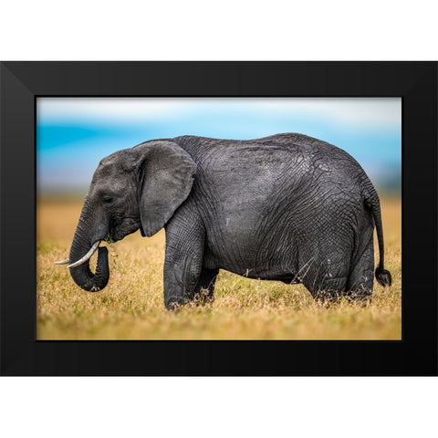 Elephant Black Modern Wood Framed Art Print by Elsheshtawy, Ahmed
