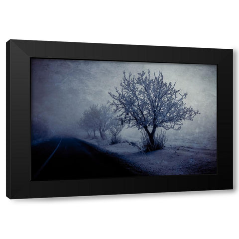 At night foggy Black Modern Wood Framed Art Print with Double Matting by Kazamil, Farid