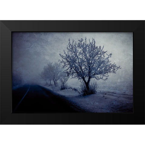 At night foggy Black Modern Wood Framed Art Print by Kazamil, Farid