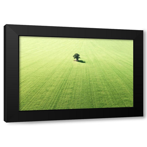 Lonely tree Black Modern Wood Framed Art Print with Double Matting by Cederberg, Marcus