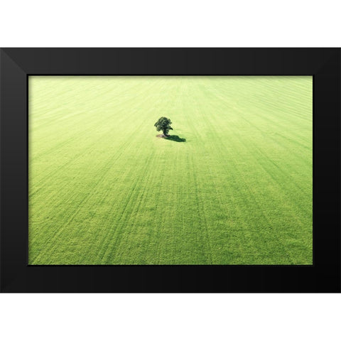 Lonely tree Black Modern Wood Framed Art Print by Cederberg, Marcus