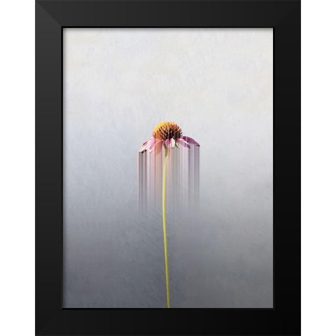 Single flower Black Modern Wood Framed Art Print by Cederberg, Marcus