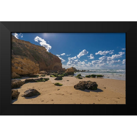 After The Storm Black Modern Wood Framed Art Print by Gelman, Alan