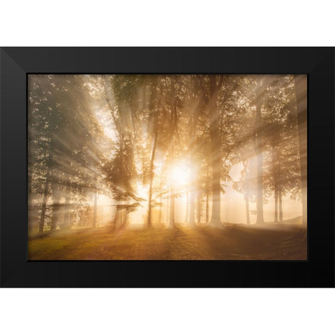 Blinded by the light Black Modern Wood Framed Art Print by Londal, Leif