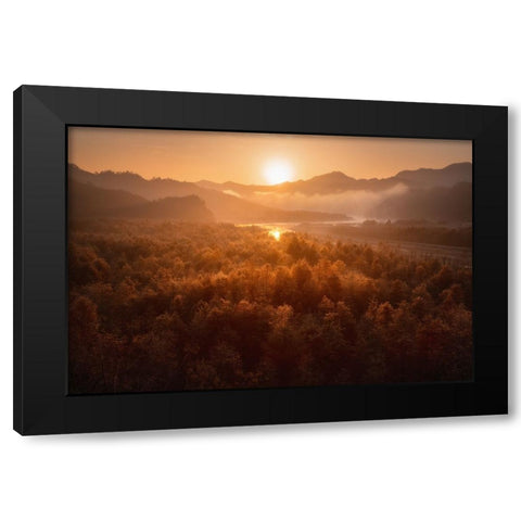 Red forest Black Modern Wood Framed Art Print by Hao, Damon