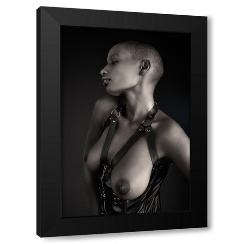 Shasta Topless Black Modern Wood Framed Art Print by Slotboom, Jan