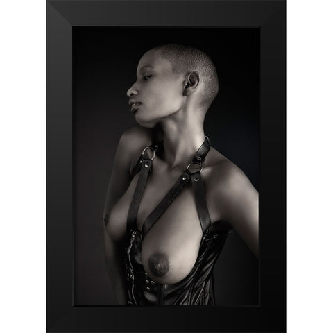 Shasta Topless Black Modern Wood Framed Art Print by Slotboom, Jan