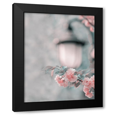 Cherry Blossom Under Street Lamp Black Modern Wood Framed Art Print by Liu, Betty