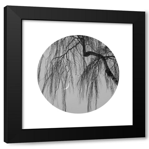 Early Spring No.1 Black Modern Wood Framed Art Print by Wei, Xiang