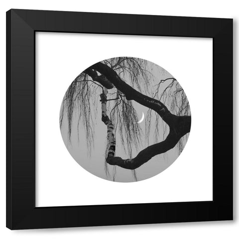 Early Spring No.2 Black Modern Wood Framed Art Print with Double Matting by Wei, Xiang