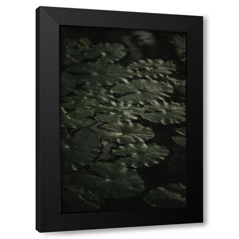 Botanical Series - Water Lily Leaves 1/2 Black Modern Wood Framed Art Print by Elijas, Eva