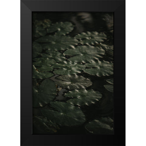 Botanical Series - Water Lily Leaves 1/2 Black Modern Wood Framed Art Print by Elijas, Eva