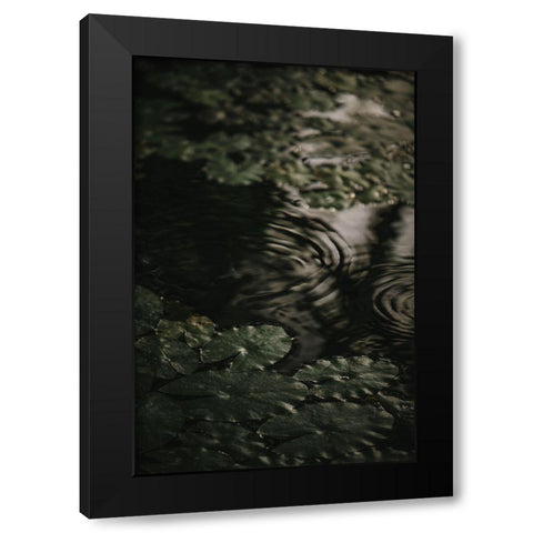 Botanical Series - Water Lily Leaves 2/2 Black Modern Wood Framed Art Print with Double Matting by Elijas, Eva