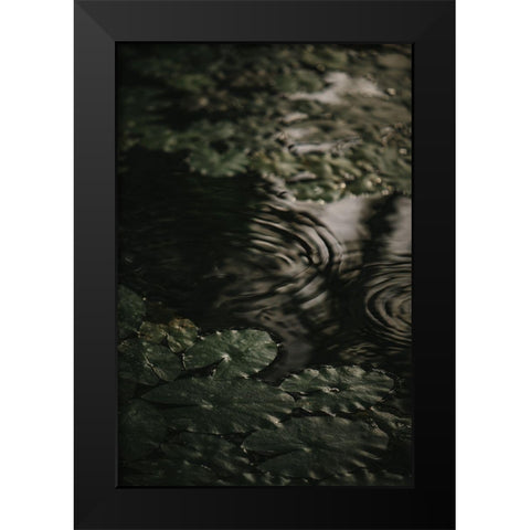 Botanical Series - Water Lily Leaves 2/2 Black Modern Wood Framed Art Print by Elijas, Eva