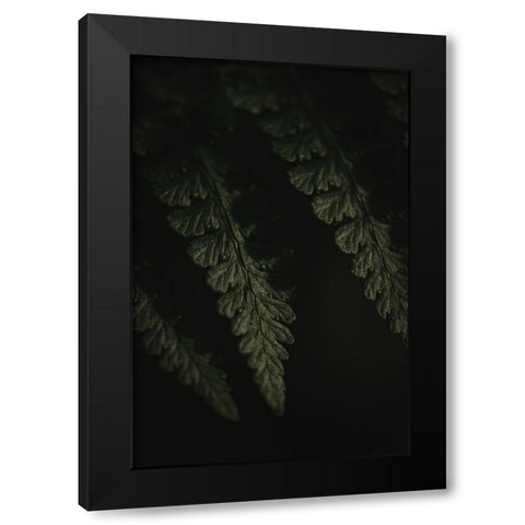 Botanical Series - Fern 1/2 Black Modern Wood Framed Art Print by Elijas, Eva
