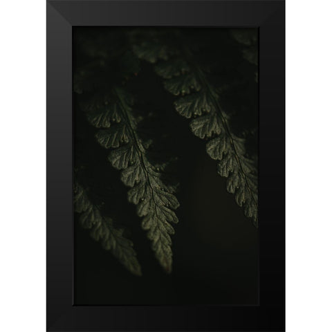 Botanical Series - Fern 1/2 Black Modern Wood Framed Art Print by Elijas, Eva