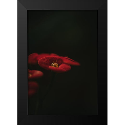 Botanical Series - Red Blossom Black Modern Wood Framed Art Print by Elijas, Eva